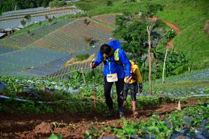 BIB: 
                            <button type="button" onclick="openModal(13381974)" class="btn btn-primary btn-sm float-right btn-popup" data-toggle="modal" data-target=".modal-high-quality">
                        <i class="fas fa-shopping-cart"></i> Add to Cart
                    </button>
                                            <button type="button" onclick="isThisMe(13381974, true)" class="btn btn-success btn-sm float-right btn-popup btn-isme hidden" data-toggle="tooltip" data-placement="bottom" title="นี่คือรูปของคุณใช่ไหม คลิกที่นี่เพื่อเอาเข้าอัลบั้ม">
                        <i class="fas fa-plus"></i> Add to album
                    </button>
                    <button type="button" onclick="isThisMe(13381974, false)" class="btn btn-warning btn-sm float-right btn-popup btn-isnotme hidden">
                        <i class="fas fa-ban"></i> Remove from album
                    </button>